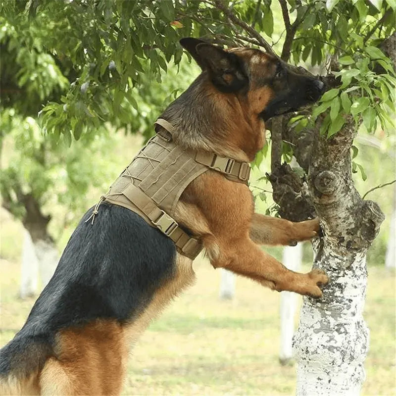 Ham militar ajustabil pentru câini, verde