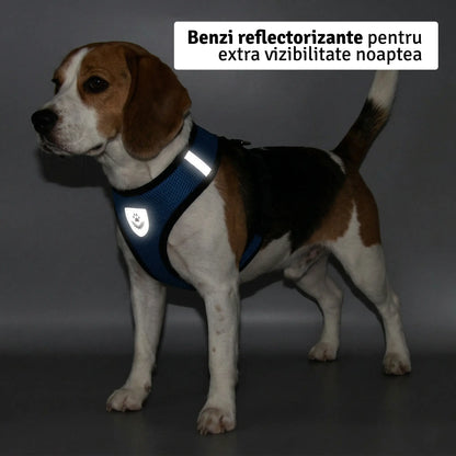 Set ham mesh respirabil pentru căței + lesă 1.5m, ajustare rapidă, mov