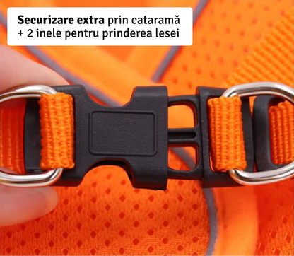 Set Ham tip vestă pentru câini, ajustabil, cu benzi reflectorizante + lesă inclusă