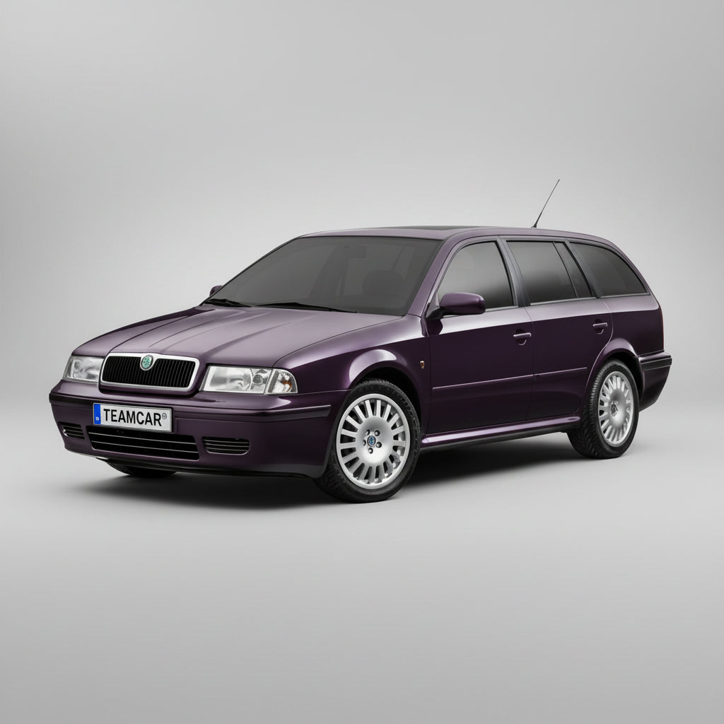 Stergatoare Skoda Octavia Combi (1996–2004) TeamCar® Hybrid – Set fata
