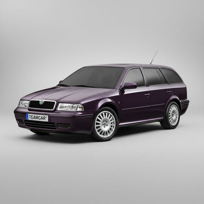 Stergatoare Skoda Octavia Combi (1996–2004) TeamCar® Hybrid – Set fata