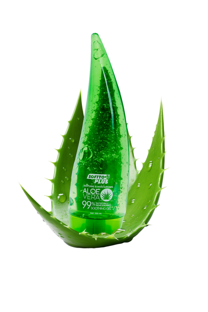 Gel Calm și Hidratant cu Aloe Vera