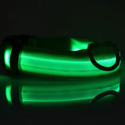 Zgardă LED pentru câini, verde